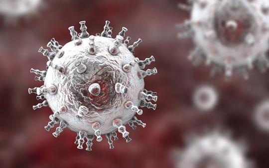 Hai virus benh tinh duc 'giao phoi', de doa sinh ra sieu benh moi hinh anh