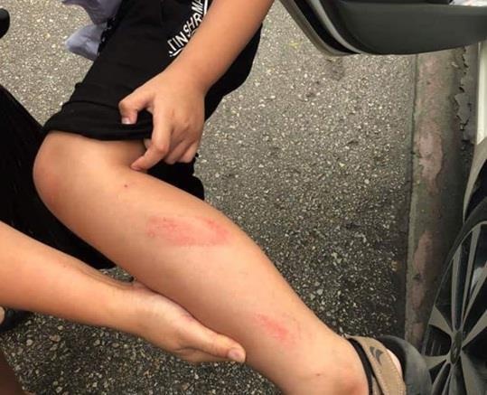 Clip co giao tat hoc sinh anh 1