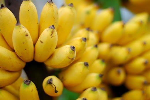 Tac dung cua chuoi voi nam gioi anh 3