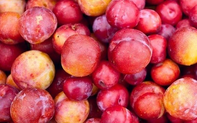 Qua man, vi thuoc quy tri nhieu benh hinh anh