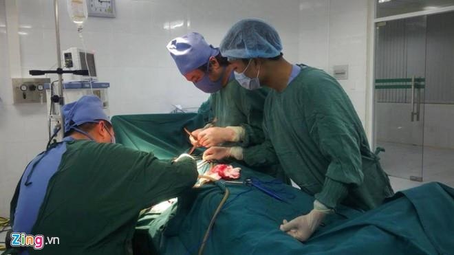 can cau moc trung cau nho anh 1