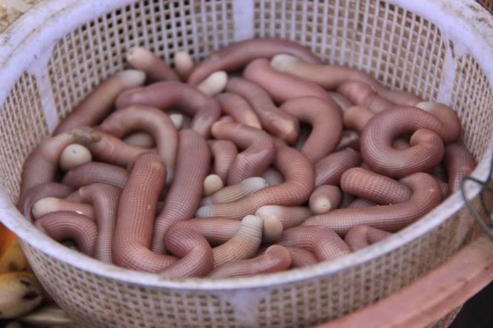 Thanh nien 26 tuoi suyt tu vong vi an sa sung hinh anh