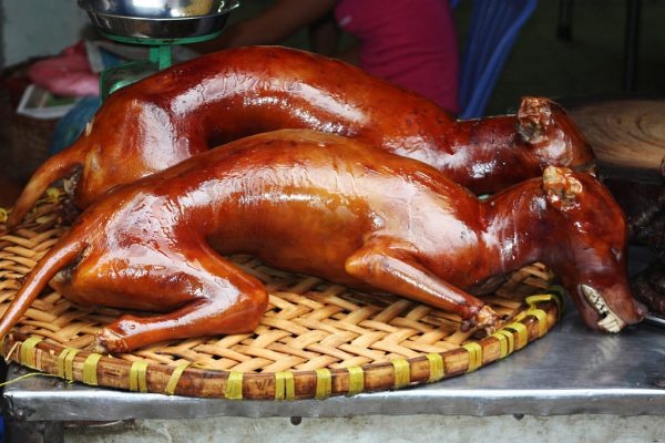 ăn thịt chó tăng sinh lực ảnh 2 an thit cho tang sinh luc anh 2