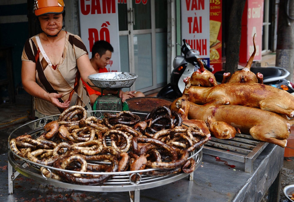 ăn thịt chó tăng sinh lực ảnh 7 an thit cho tang sinh luc anh 7