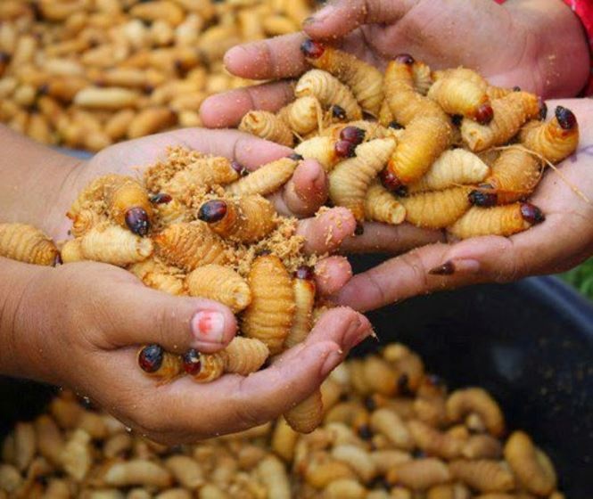 ai khong nen an duong dua anh 3