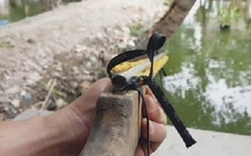 Be trai 14 tuoi vo nhan cau, vet thuong xuyen so boi sung tu che hinh anh