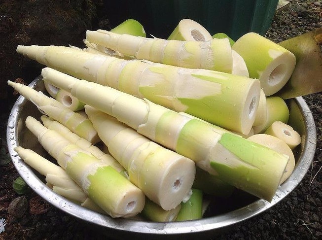 Ăn măng mất máu ảnh 4 An mang mat mau anh 4