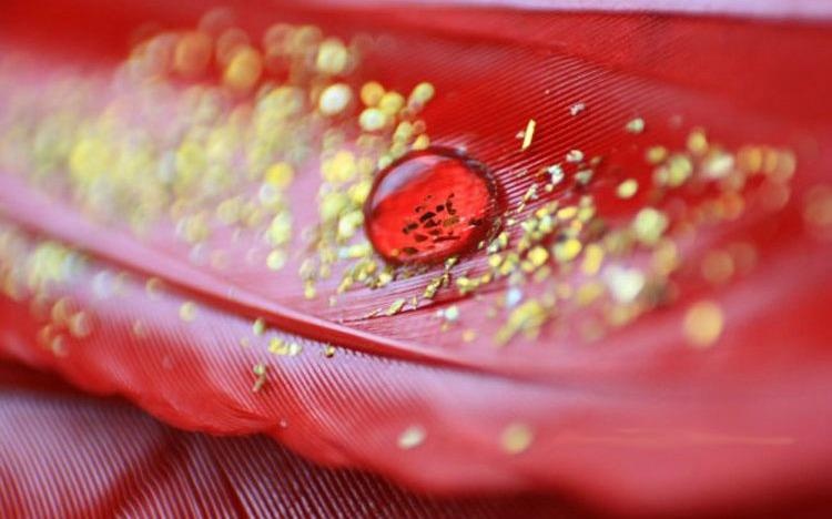 Nhom mau nao chi 43 nguoi co, quy nhu vang rong? hinh anh