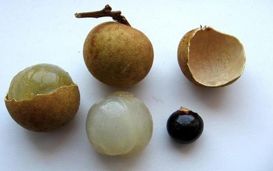 Be trai 2 tuoi tu vong do hoc hat nhan hinh anh