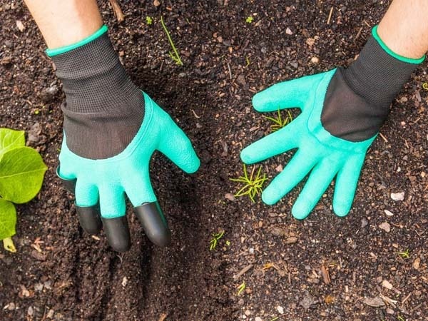 Lây nhiễm bệnh Whitmore ảnh 3 Lay nhiem benh Whitmore anh 3