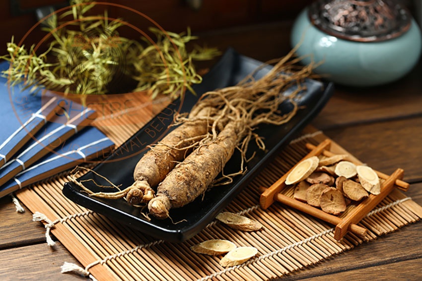 Sử dụng nhân sâm cho bệnh nhân ung thư ảnh 3 Su dung nhan sam cho benh nhan ung thu anh 3