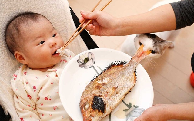 Dieu cam ky khi an ca anh 3