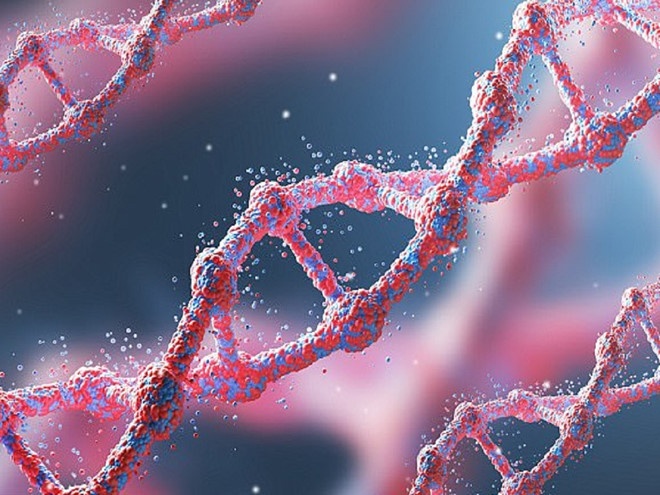 cat bo buong trung anh 6