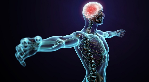 cat bo buong trung anh 7