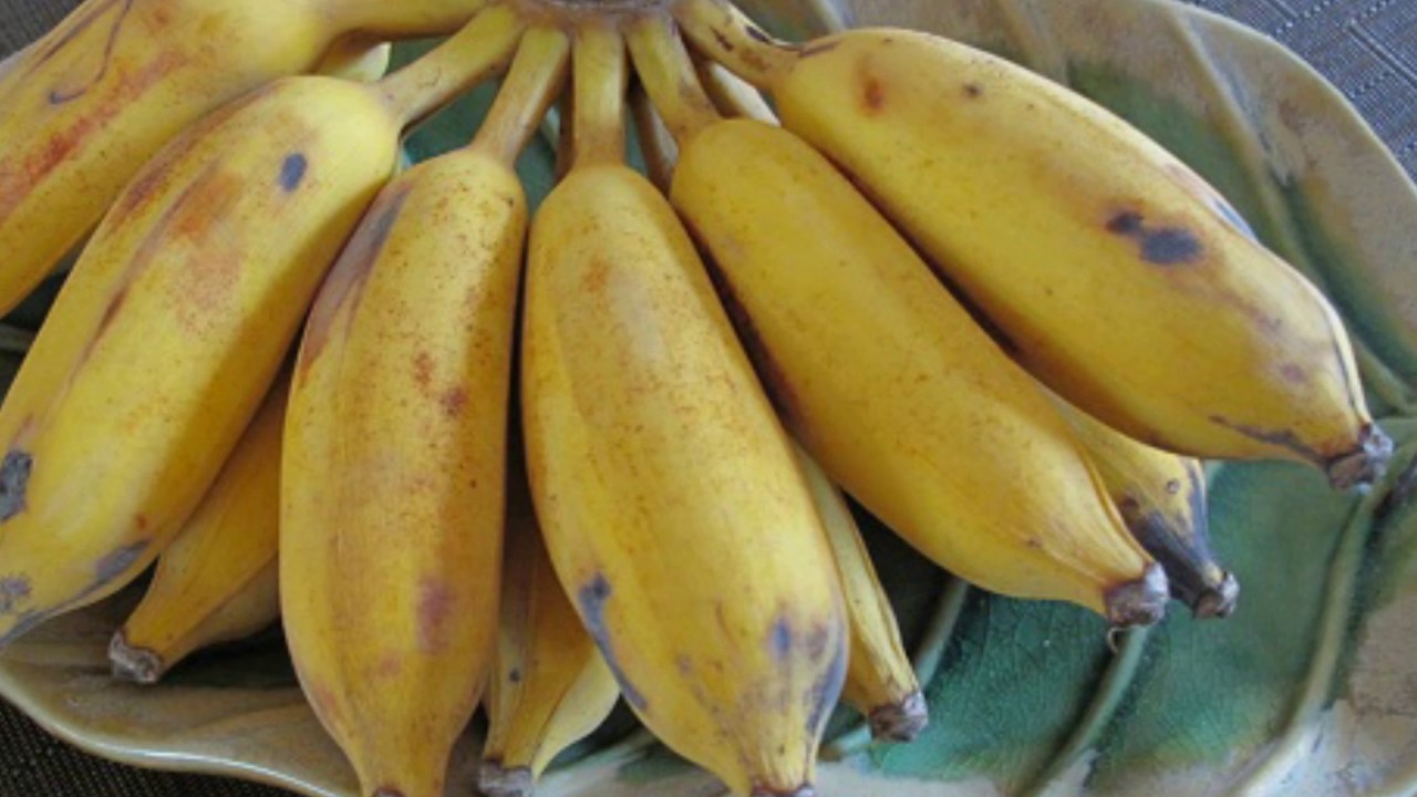 Cach an chuoi de cai thien kha nang sinh ly anh 7