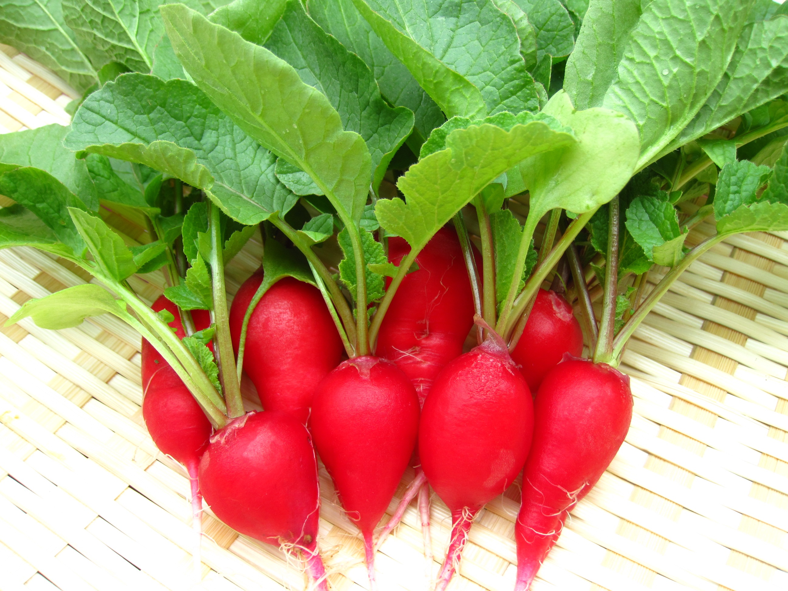 cau thu bong da SEA Games 30 anh 6