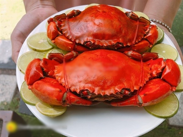 Bo phan cua cua khong nen an anh 4