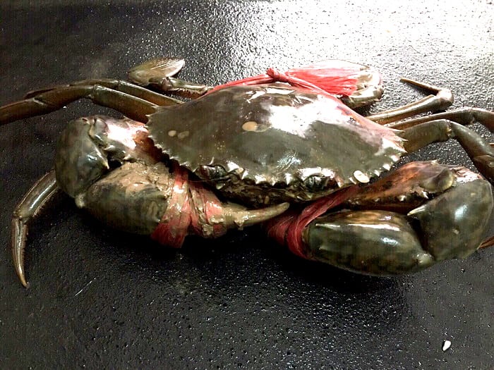 Bo phan cua cua khong nen an anh 5