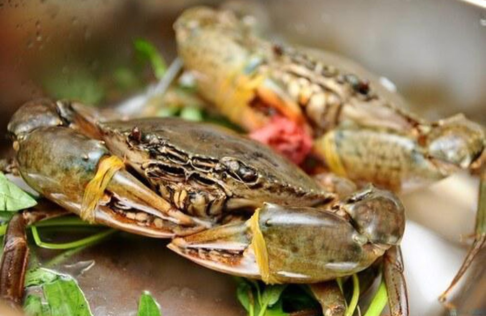 Nhung bo phan cua cua khong nen an hinh anh