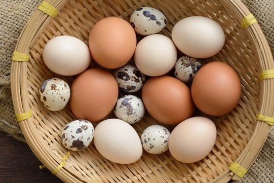 Khi nao trung thanh chat doc? hinh anh