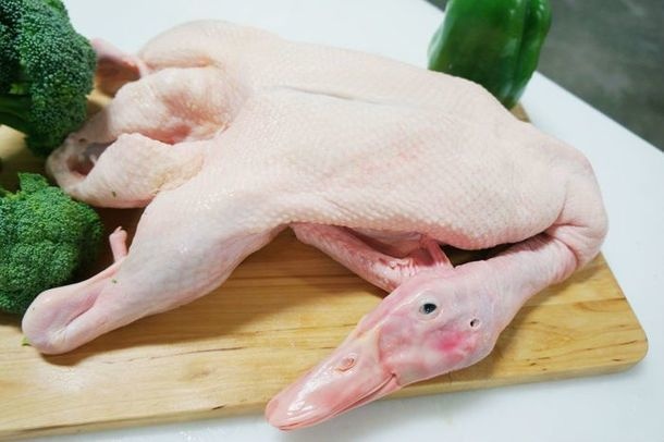 dieu cam ky khi an thit vit anh 2