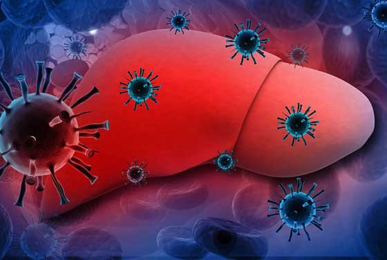 Nhung tac nhan co the pha huy gan cua ban hinh anh