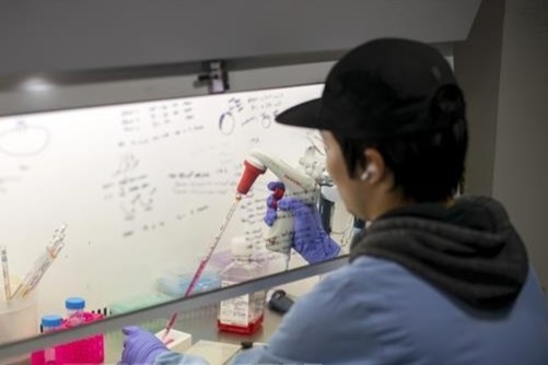 Cac nha khoa hoc Anh thu nghiem vac xin phong nCoV tren chuot hinh anh