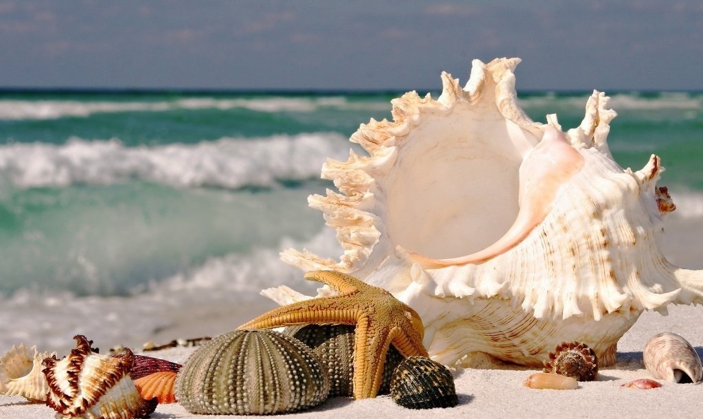 oc co the gay chet nguoi neu an phai anh 7