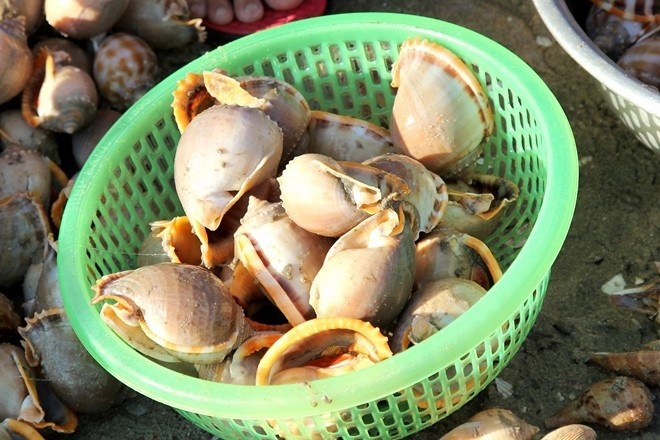 oc co the gay chet nguoi neu an phai anh 2