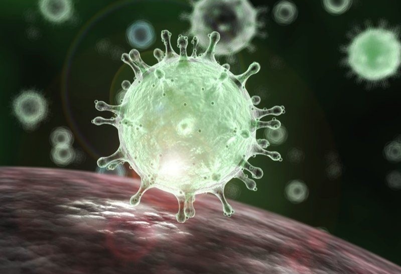 Can biet nhung dieu virus 'so' de tranh lay nhiem SARS-CoV-2 hinh anh