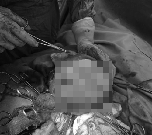 vua mo de vua cat u xo tu cung anh 1