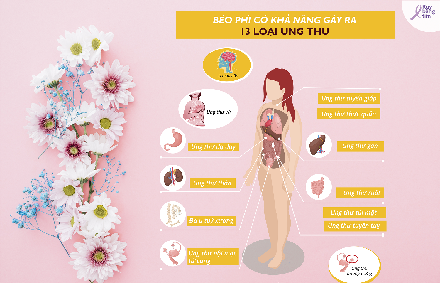Beo phi gay ra 13 loai ung thu anh 2