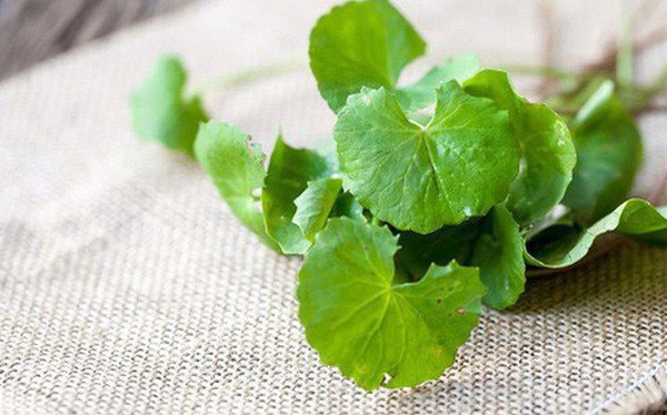 dung rau ma sai cach anh 7