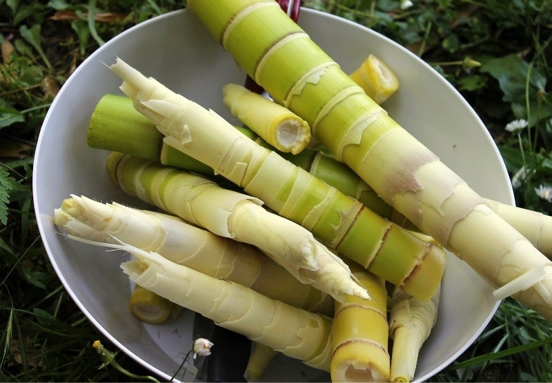 Sai lầm khi ăn măng ảnh 1 Sai lam khi an mang anh 1