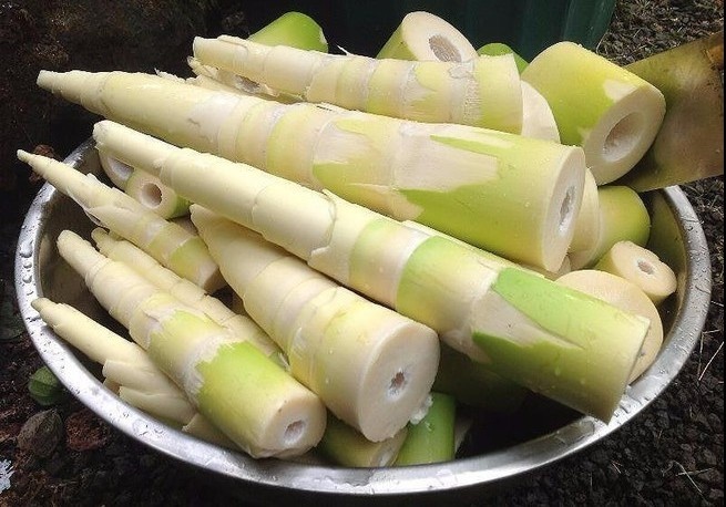 Khi nao an mang co the gay chet nguoi? hinh anh