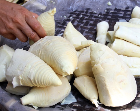 Sai lầm khi ăn măng ảnh 5 Sai lam khi an mang anh 5