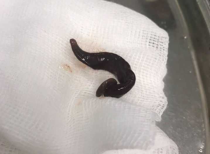 vat song trong mui anh 1