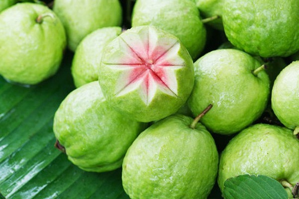 Những lưu ý khi ăn ổi ảnh 3 Nhung luu y khi an oi anh 3