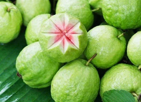 Ai khong nen an oi? hinh anh