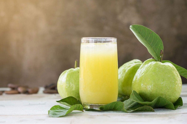 Những lưu ý khi ăn ổi ảnh 7 Nhung luu y khi an oi anh 7