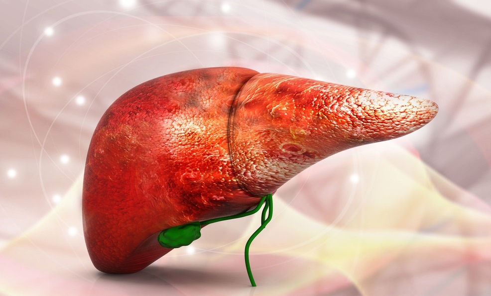 Tam soat ung thu gan anh 1