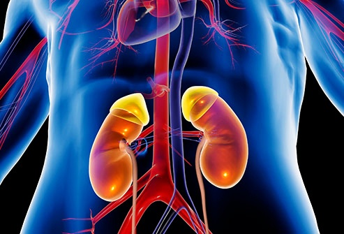 Dau hieu ung thu than anh 1