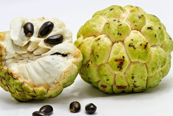 Hat trai cay chua chat doc anh 6