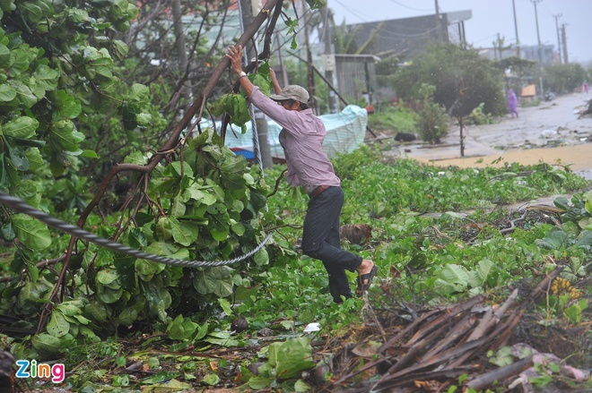 Bão tàn phá ở Bình Định,  Quảng Ngãi ảnh 1 Bao tan pha o Binh Dinh,  Quang Ngai anh 1