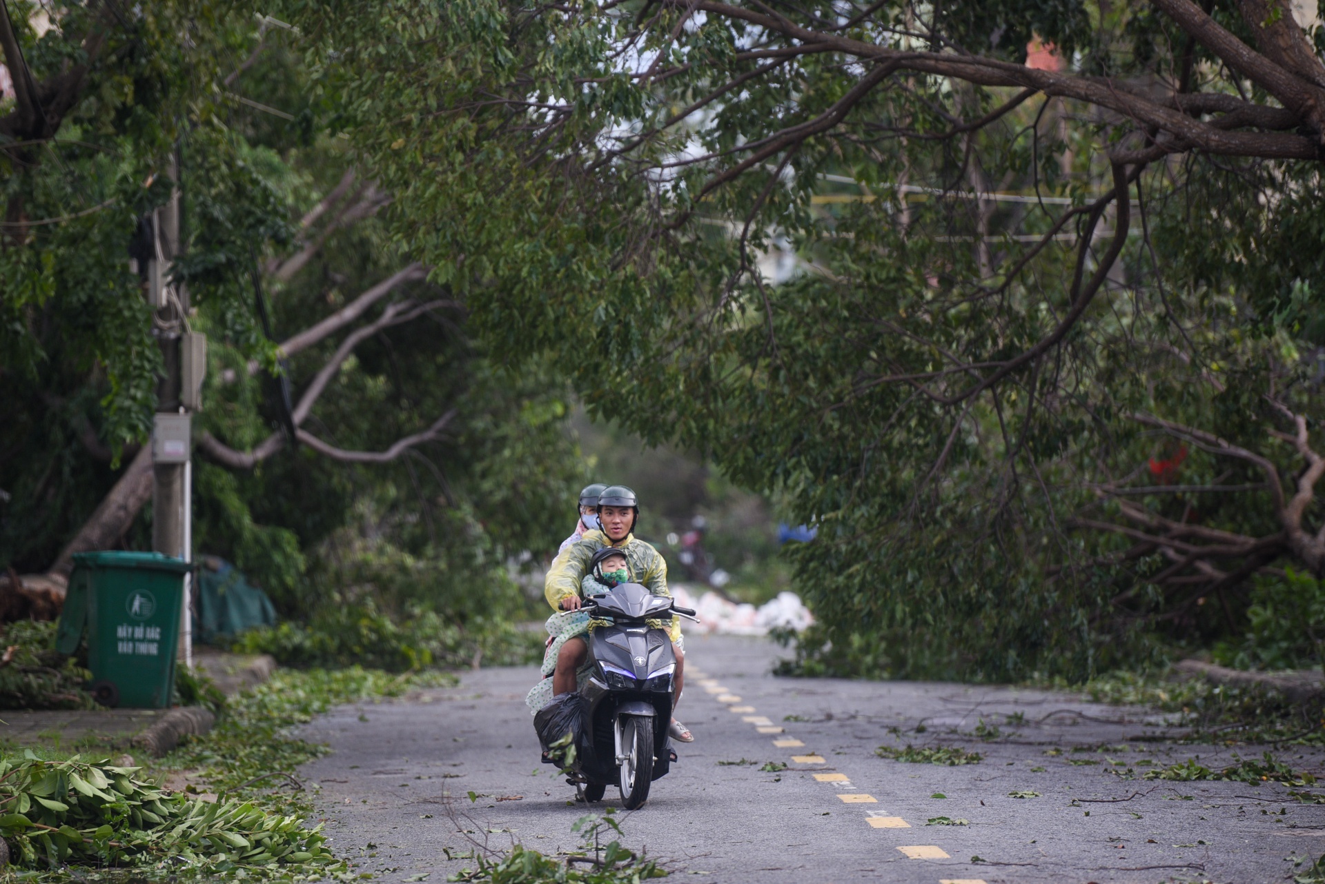 Phong chong bao so 9 anh 1