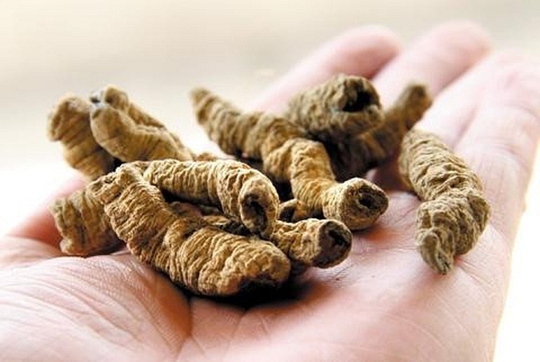 Sử dụng ba kích ngâm rượu ảnh 1 Su dung ba kich ngam ruou anh 1