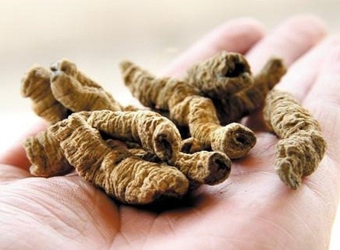 Nhung su that ve ba kich hinh anh