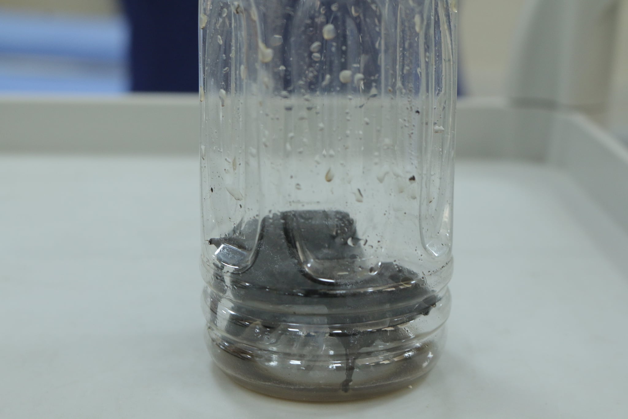 Uong ruou ngam cu au tau anh 1