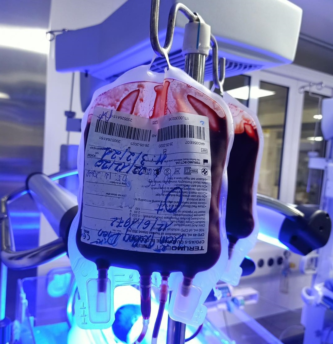 Bac si hien mau cuu be so sinh anh 1