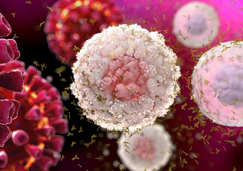 Phat hien su khac biet trong phan ung mien dich o benh nhan Covid-19 hinh anh